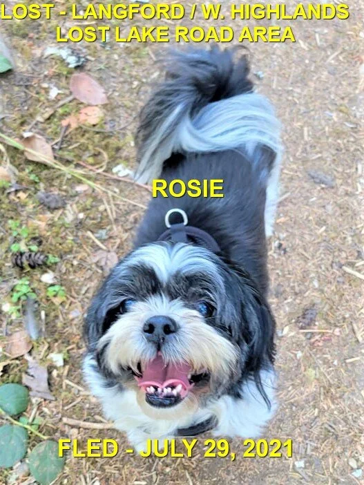 HAPPY ENDINGS - WEST HIGHLANDS BC - ROSIE - JULY 29, 2021