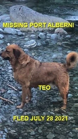 HAPPY ENDINGS - PORT ALBERNI BC - TEO - JULY 28, 2021