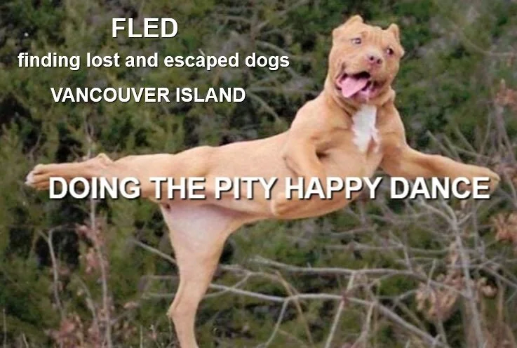 HAPPY ENDINGS - COLWOOD - FRANK - JULY 28, 2021