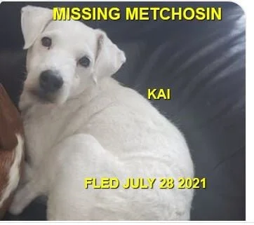 HAPPY ENDINGS - METCHOSIN BC - KAI - SENIOR - JULY 27, 2021