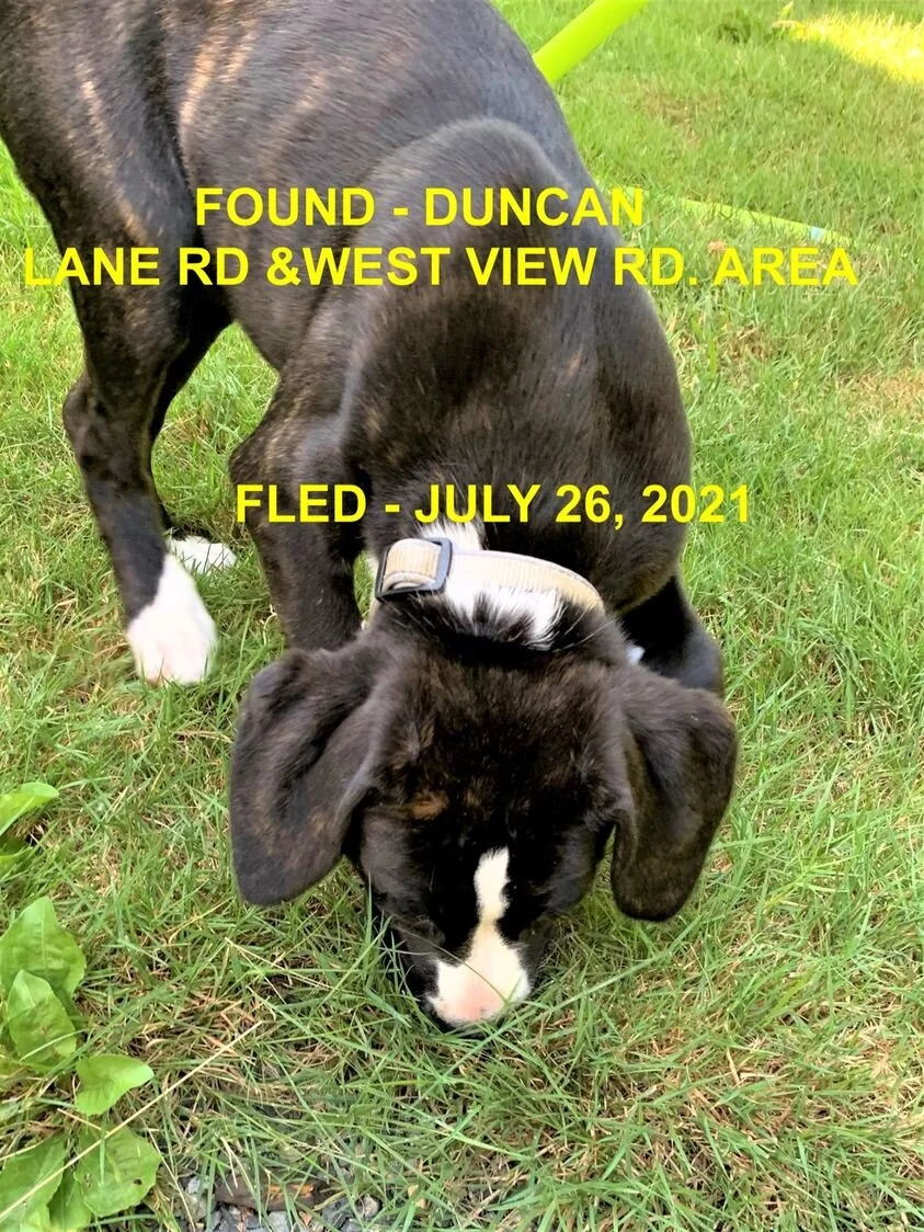 HAPPY ENDINGS - DUNCAN BC -  JULY 26, 2021