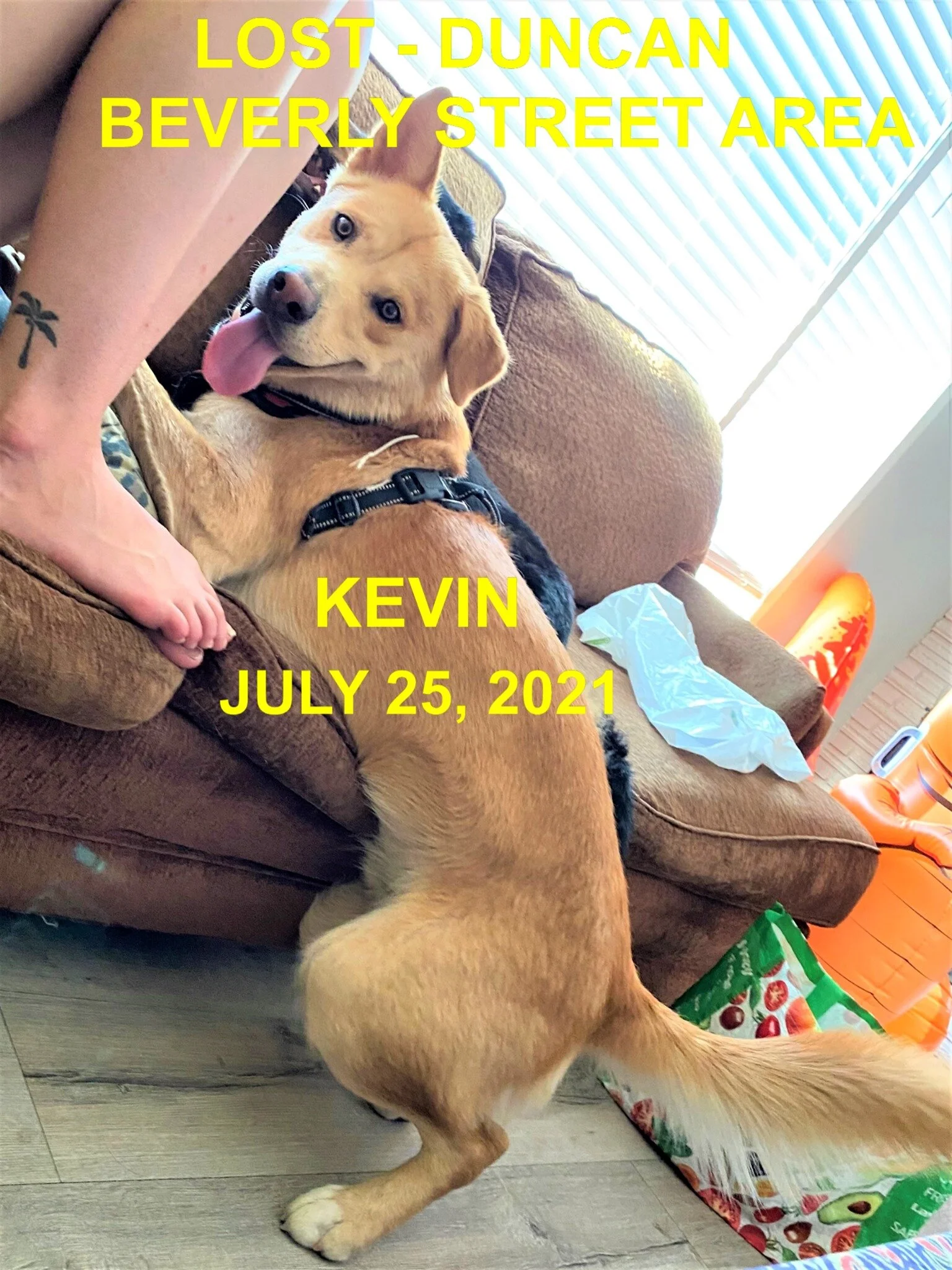 HAPPY ENDINGS - DUNCAN BC - KEVIN - JULY 25, 2021