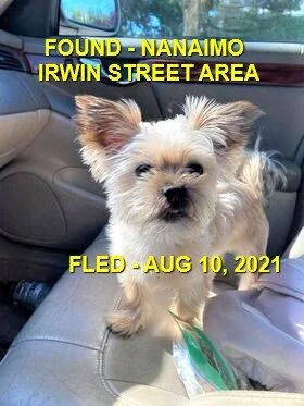 HAPPY ENDINGS - NANAIMO BC - SONNY - JULY 10, 2021