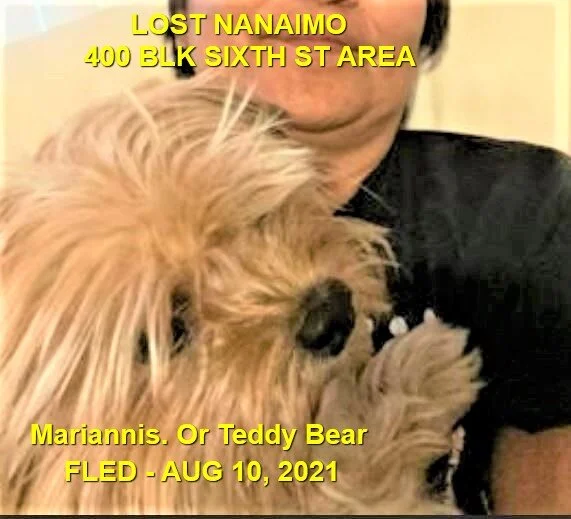 HAPPY ENDINGS - SENIOR - NANAIMO BC - TEDDY BEAR - AUG. 10, 2021 