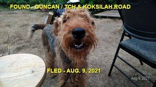 HAPPY ENDINGS - DUNCAN BC - AUG 9, 2021