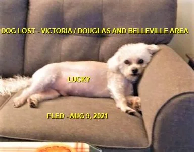 HAPPY ENDINGS - VICTORIA BC - LUCKY - AUG 9, 2021