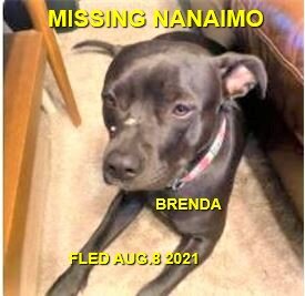 HAPPY ENDINGS - NANAIMO BC - BRENDA - AUG 8, 2021