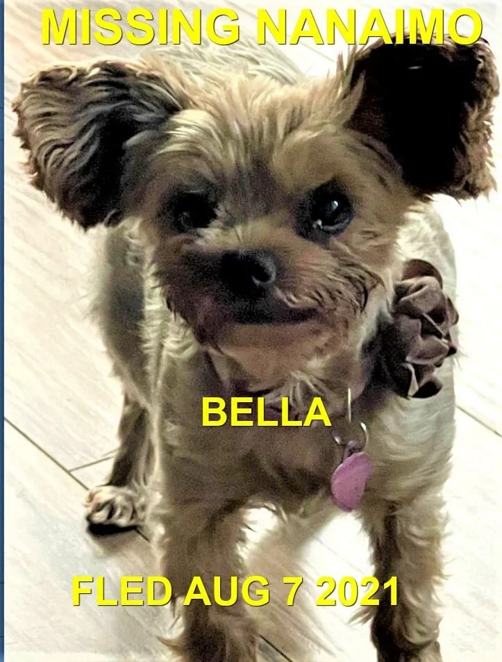 OVER THE RAINBOW BRIDGE - SENIOR - NANAIMO BC - BELLA - AUG 7, 2021