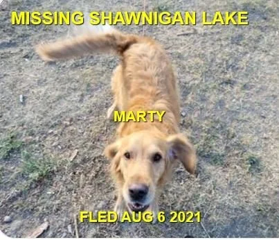 HAPPY ENDINGS - SHAWNIGAN LAKE BC - MARTY - AUG 6, 2021