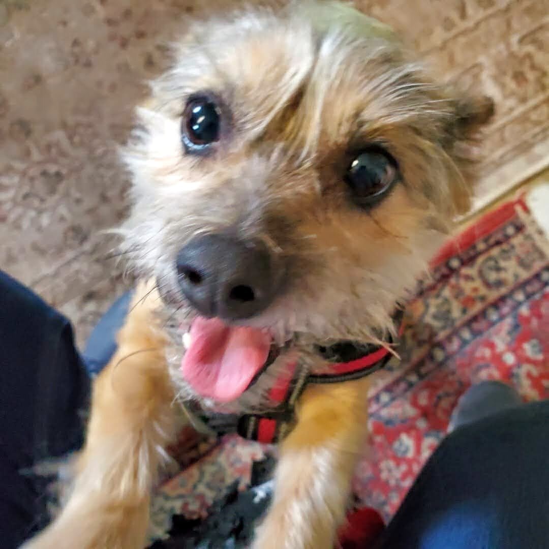 HAPPY ENDINGS - NANAIMO BC - TRIXEE - AUG 6, 2021