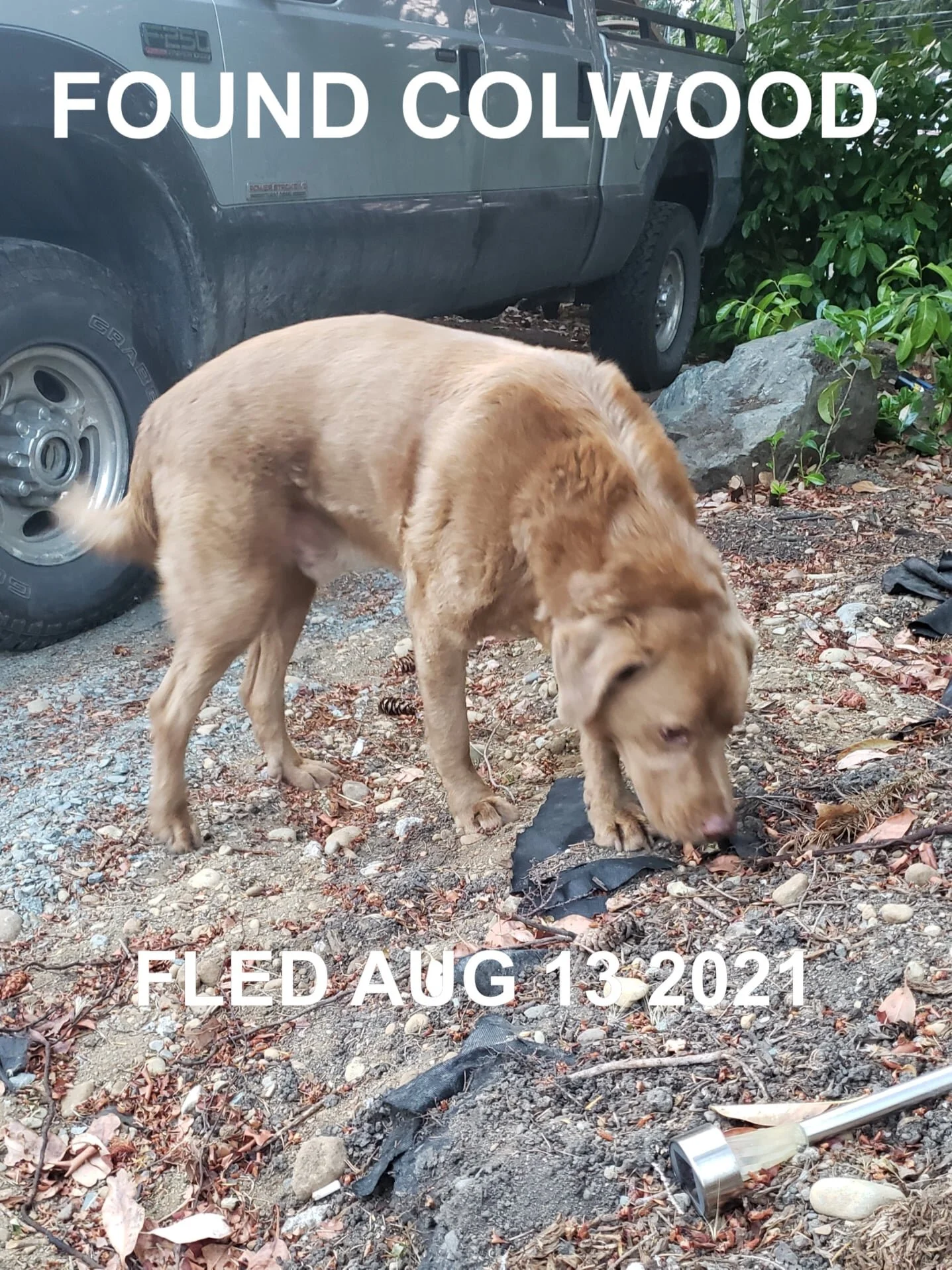 UNRESOLVED - COLWOOD BC - AUG. 13, 2021