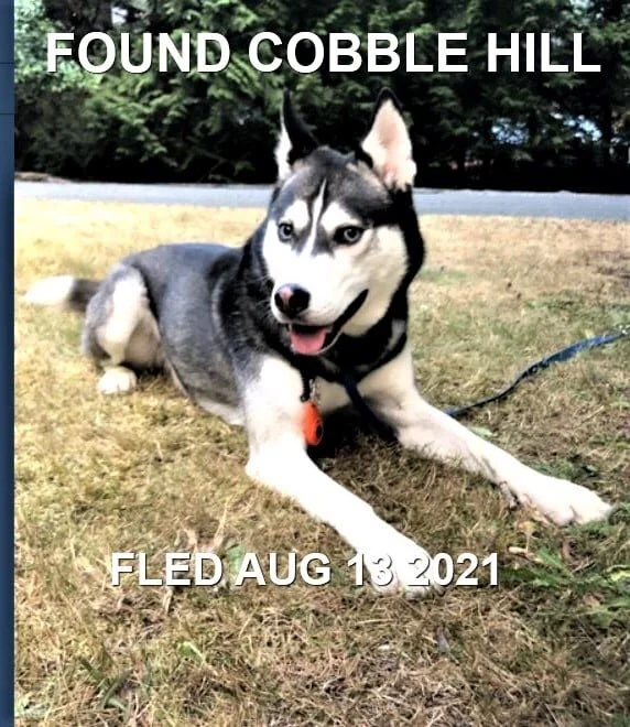 HAPPY ENDINGS - COBBLE HILL BC - AUG. 13, 2021