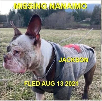 HAPPY ENDINGS - NANAIMO BC - JACKSON - AUG. 12, 2021