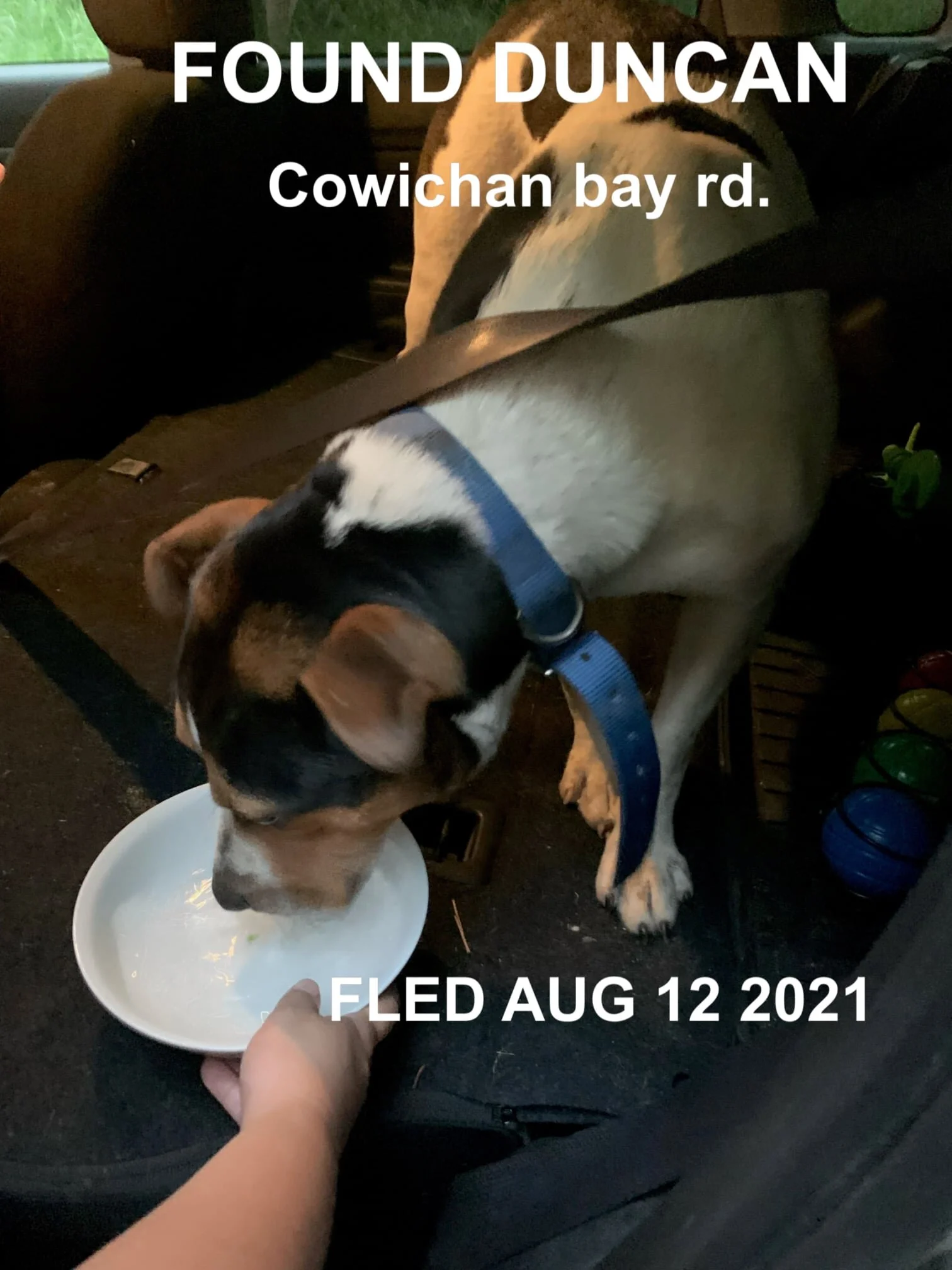 HAPPY ENDINGS - COWICHAN BAY BC - AUG 12, 2021