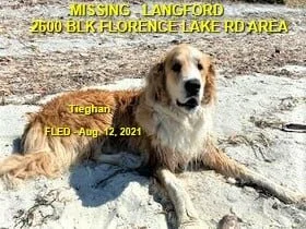 HAPPY ENDINGS - LANGFORD BC - TIEGHAN - AUG. 12, 2021