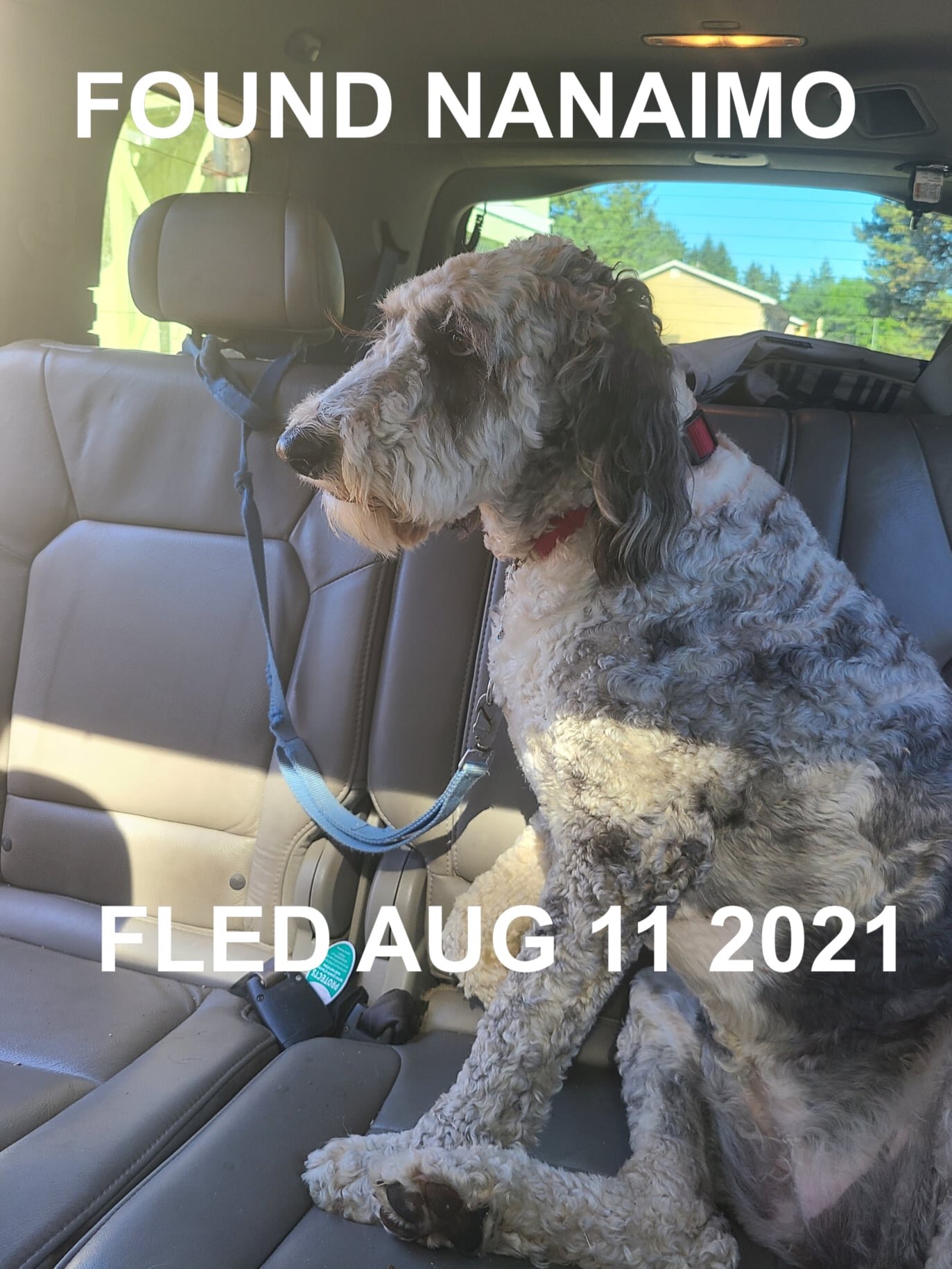 HAPPY ENDINGS - NANAIMO BC - AUG. 11, 2021