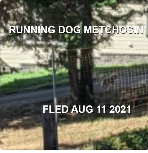 UNRESOLVED - METCHOSIN BC. - AUG. 11, 2021