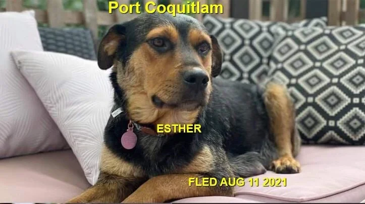 HAPPY ENDINGS - PORT COQUITLAM BC - ESTHER - AUG 10, 2021