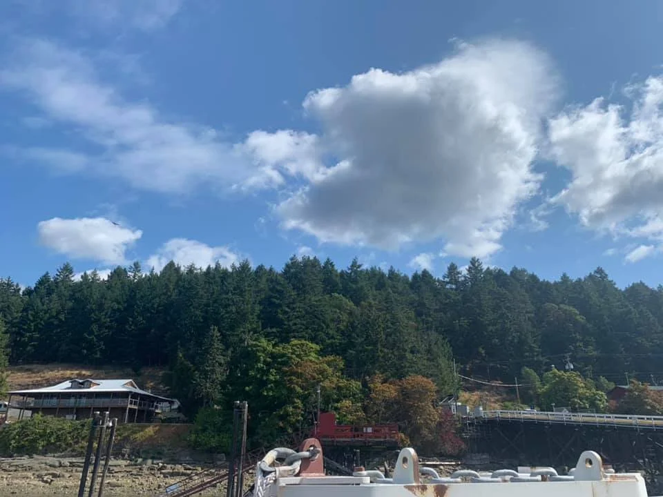 UNRESOLVED - SALT SPRING ISLAND BC - AUG. 8, 2021