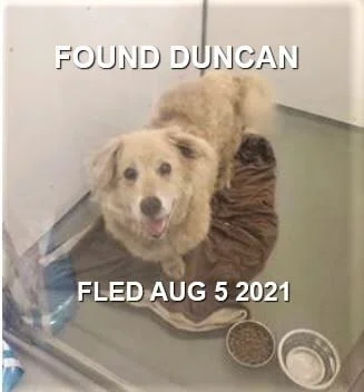 GONE TO SHELTER - DUNCAN BC - AUG 5, 2021