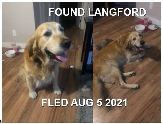 HAPPY ENDINGS - LANGFORD BC - AUG 4, 2021