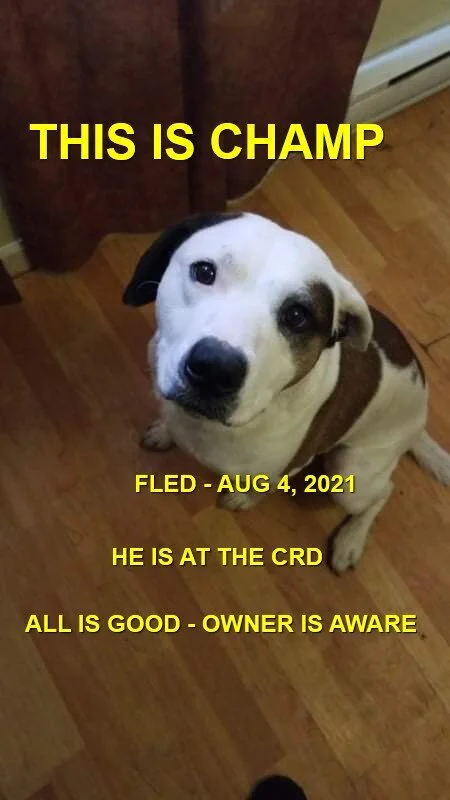HAPPY ENDINGS - SOOKE BC - CHAMP - AUG 4, 2021