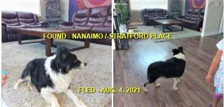 HAPPY ENDINGS - NANAIMO BC - AUG. 3, 2021