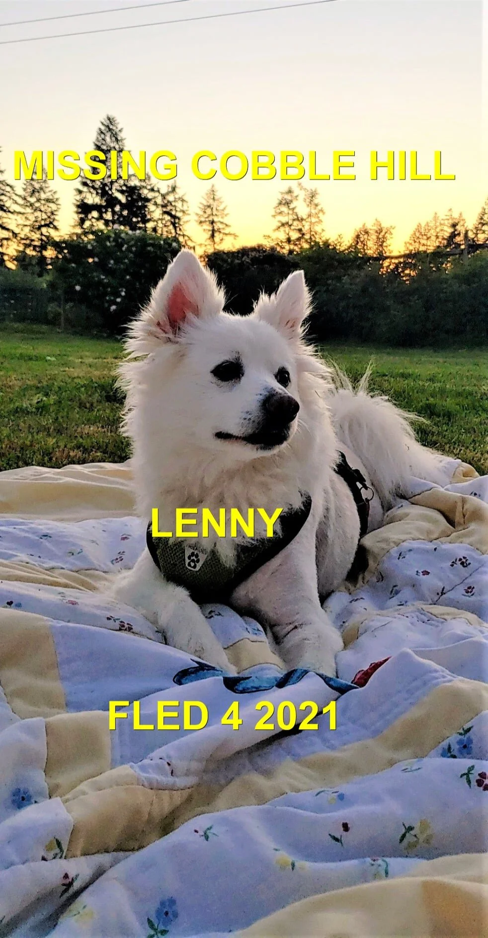 HAPPY ENDINGS - COBBLE HILL BC - LENNY - AUG 3, 2021
