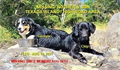 HAPPY ENDINGS - TEXADA ISLAND BC - GEORGIA &amp; CHIP / AUG. 19, 2021