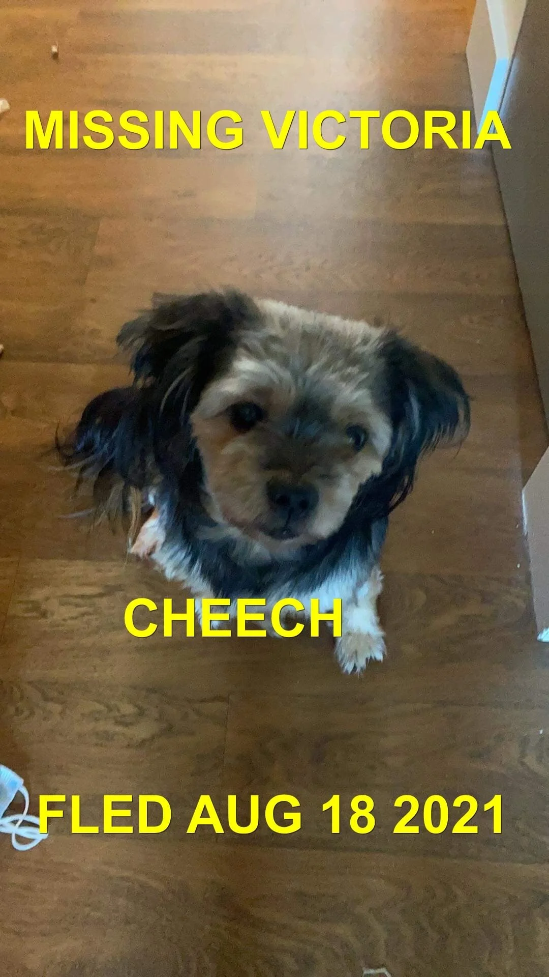 HAPPY ENDINGS - VICTORIA BC / CHEECH / AUG. 18, 2021