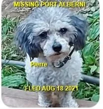 HAPPY ENDINGS - PORT ALBERNI BC - PIERRE - AUG. 18, 2021