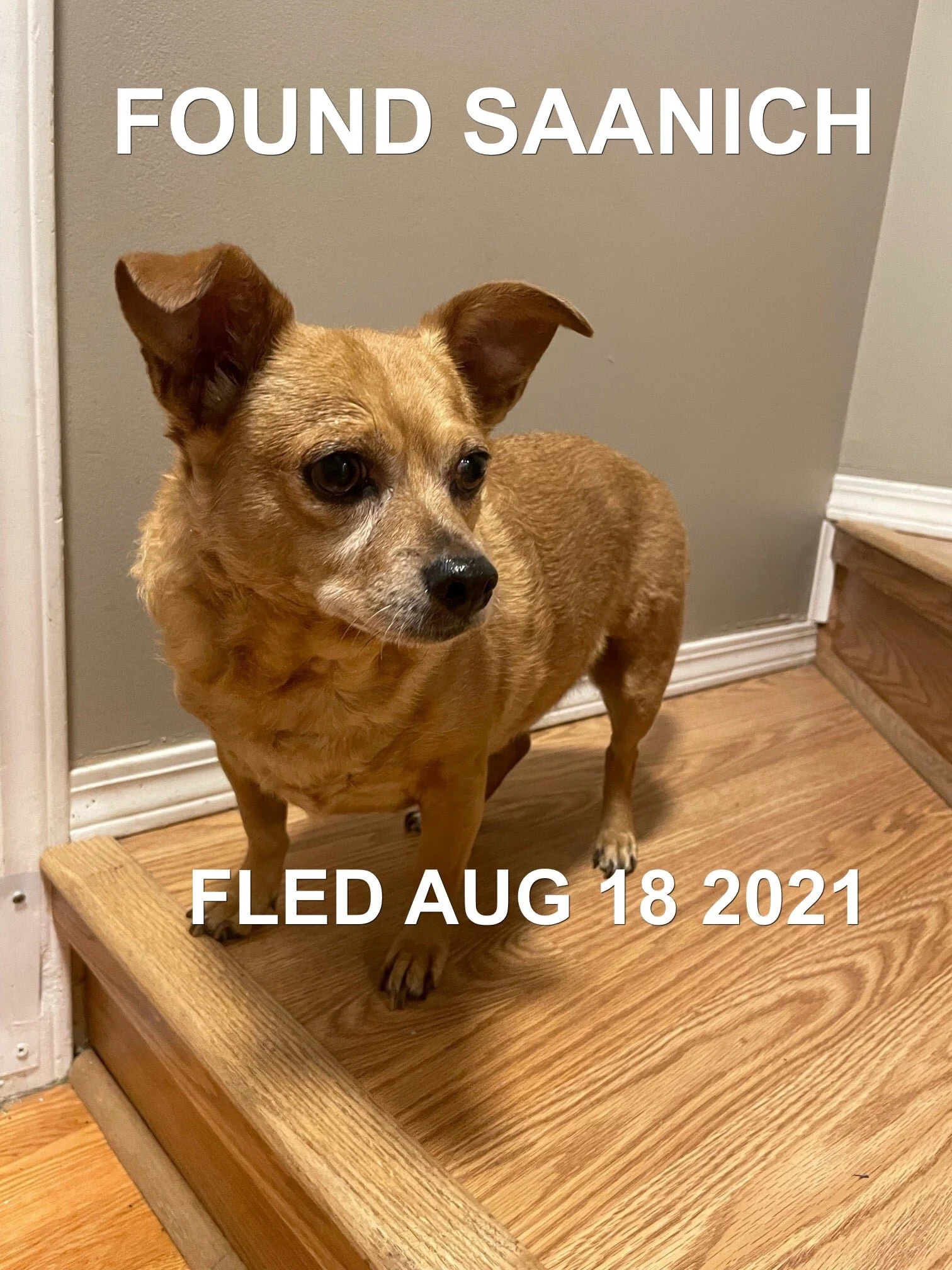 HAPPY ENDINGS - SAANICH BC - AUG. 18, 2021