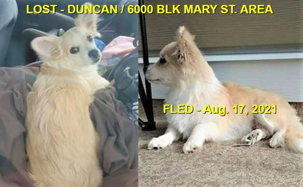 HAPPY ENDINGS - DUNCAN BC - BANDIT / AUG. 17, 2021