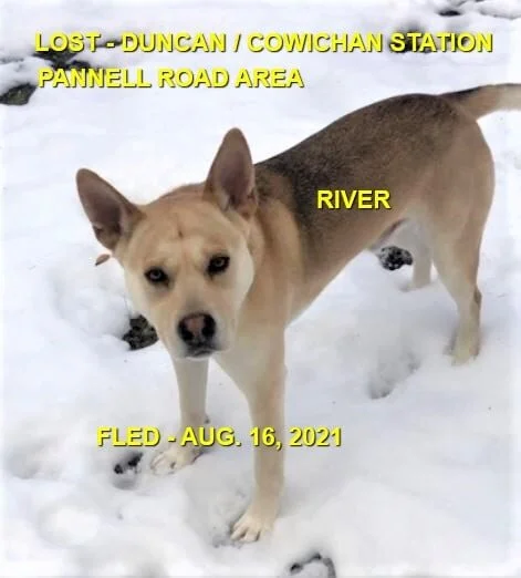 HAPPY ENDINGS - DUNCAN BC - RIVER / AUG. 16, 2021