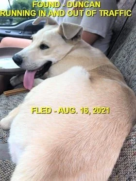 GONE TO SHELTER - DUNCAN BC - AUG. 16, 2021