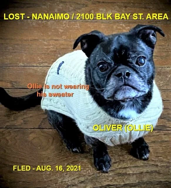 HAPPY ENDINGS - NANAIMO BC - OLVIER - AUG. 16, 2021