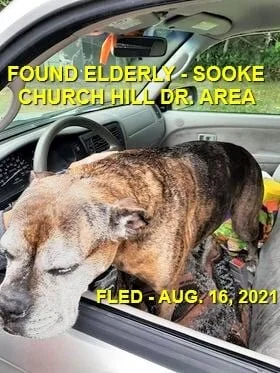 HAPPY ENDINGS - SOOKE BC - SENIOR MAGGIE / AUG. 16, 2021