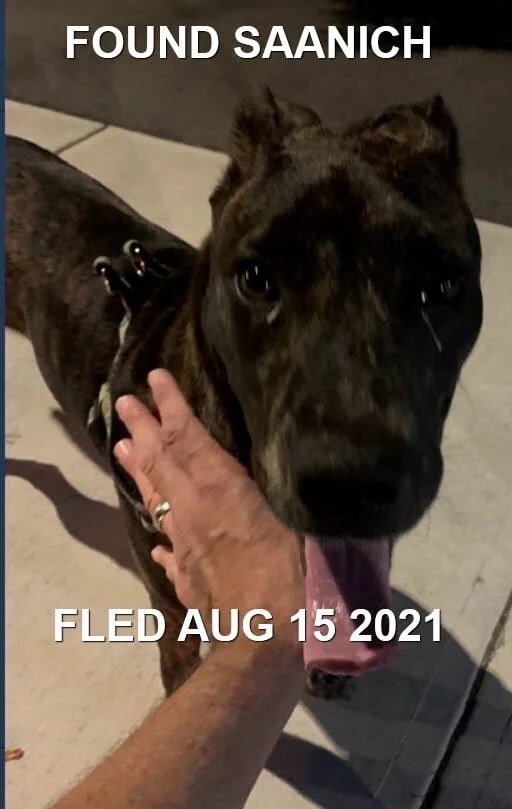 GONE TO SHELTER - SAANICH BC - AUG. 15, 2021