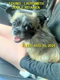 HAPPY ENDINGS - LADYSMITH BC - AUG. 15, 2021