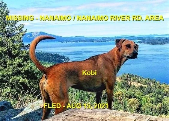 HAPPY ENDINGS - NANAIMO BC - KOBI - AUG. 15, 2021