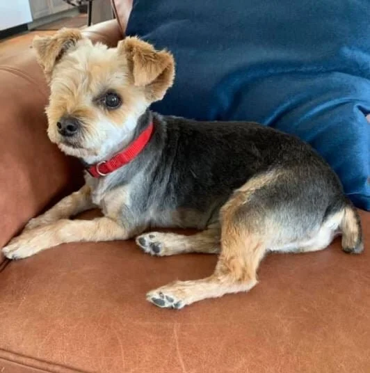 HAPPY ENDINGS - DUNCAN BC - AUG. 15, 2021