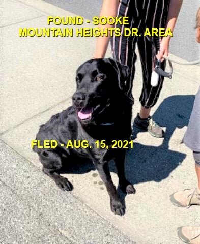 HAPPY ENDINGS - SOOKE BC - AUG. 15, 2021