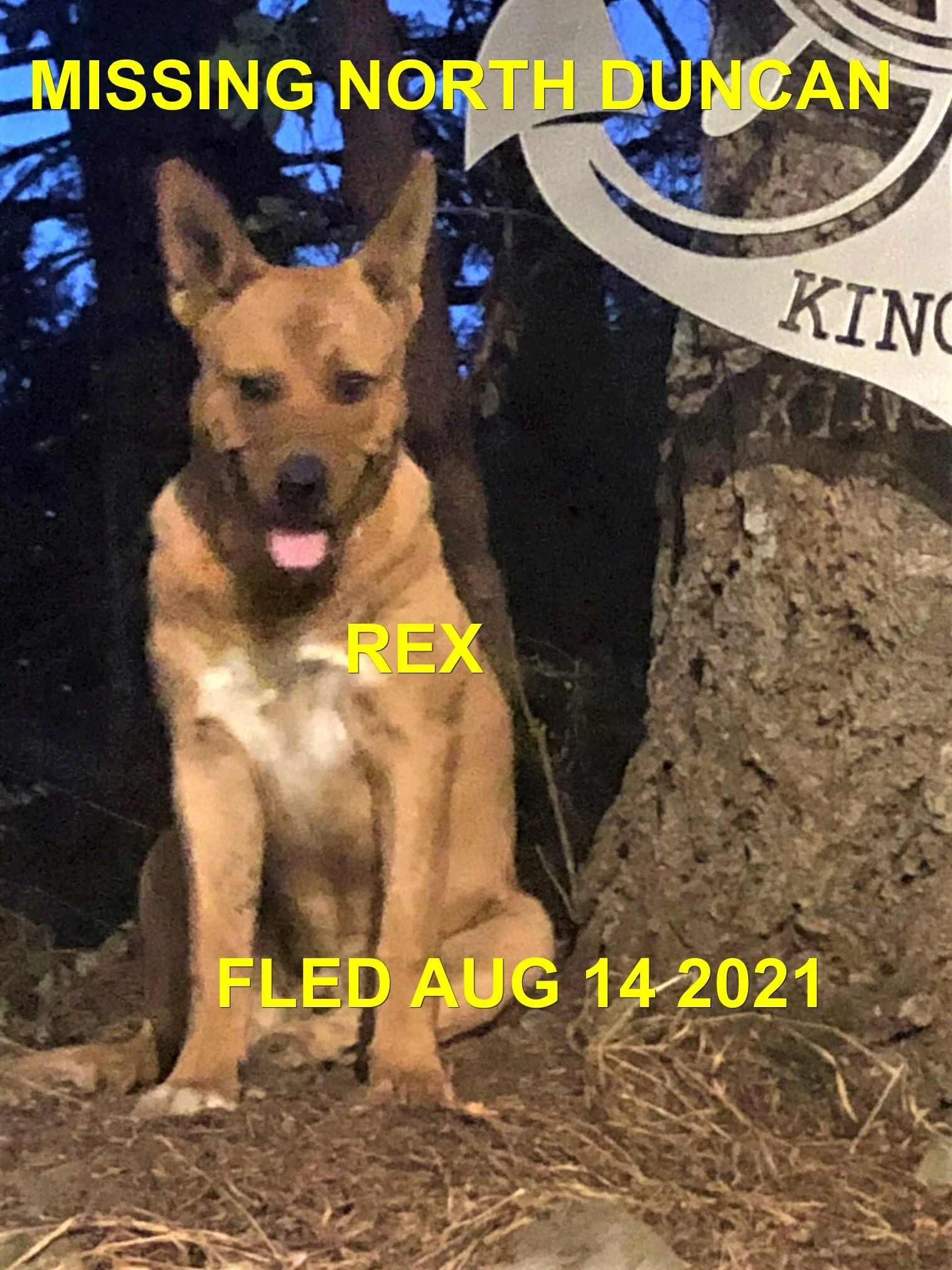 HAPPY ENDINGS - DUNCAN BC - REX / AUG. 14, 2021