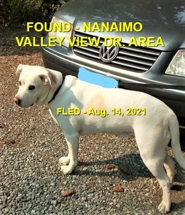 GONE TO SHELTER - NANAIMO BC - AUG. 14, 2021