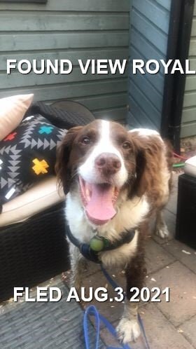 HAPPY ENDINGS - VIEW ROYAL BC - AUG. 3, 2021