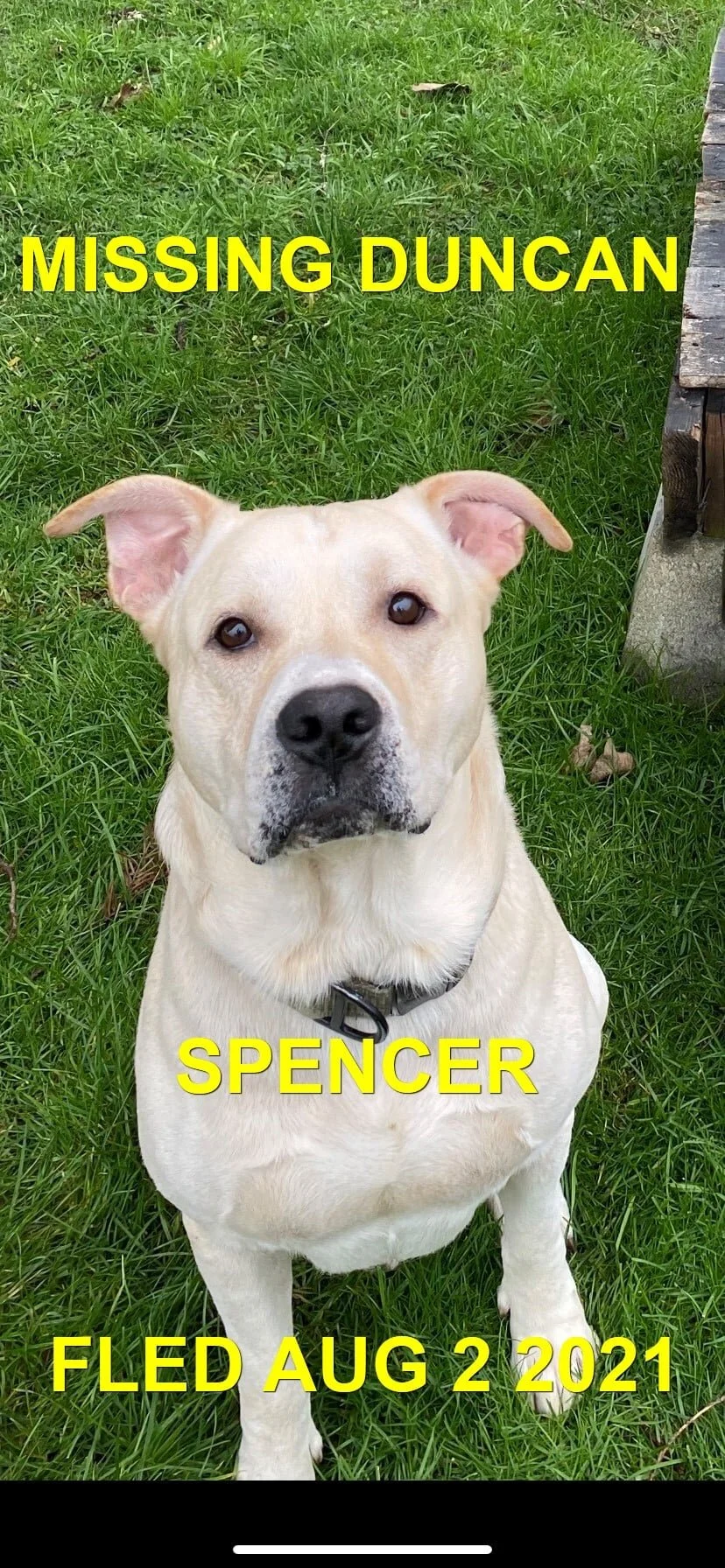 HAPPY ENDINGS - DUNCAN BC - SPENCER - AUG. 2, 2021