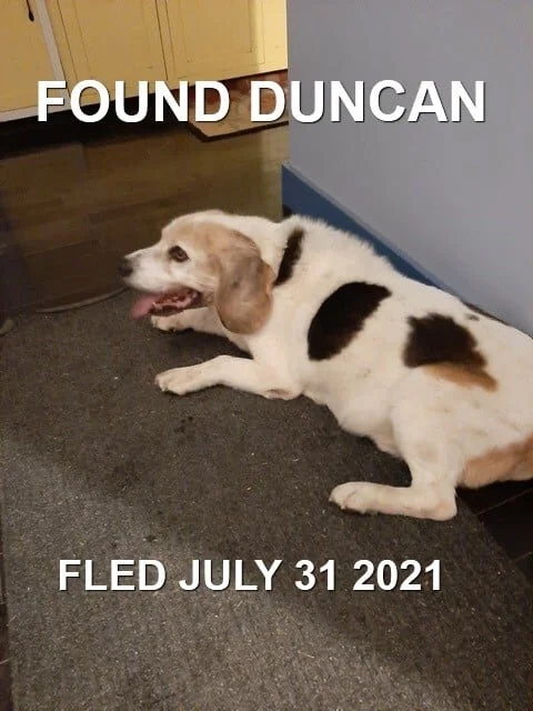 HAPPY ENDINGS - DUNCAN BC - OLIVER - JULY 31, 2021