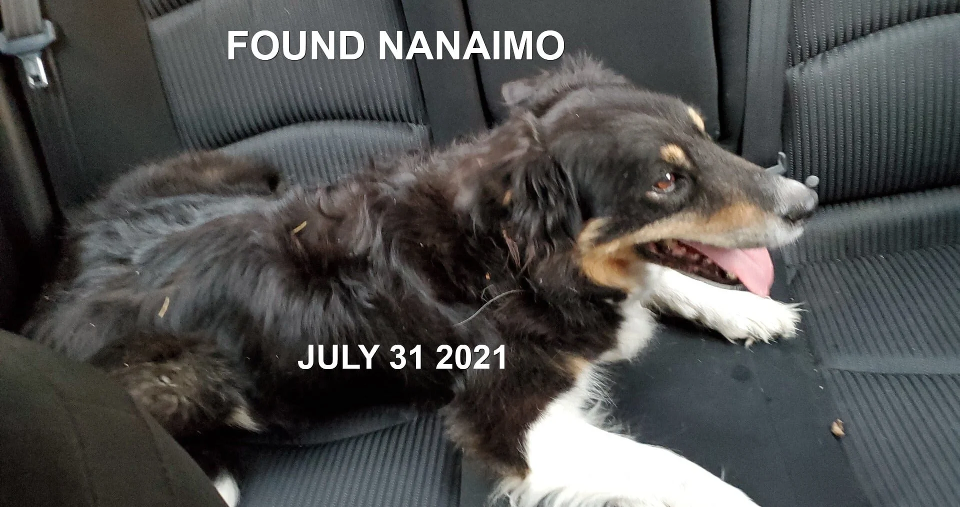 HAPPY ENDINGS - NANAIMO BC - JULY 31, 2021