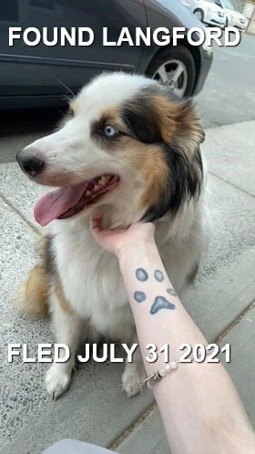 HAPPY ENDINGS - LANGFORD BC - JULY 31, 2021