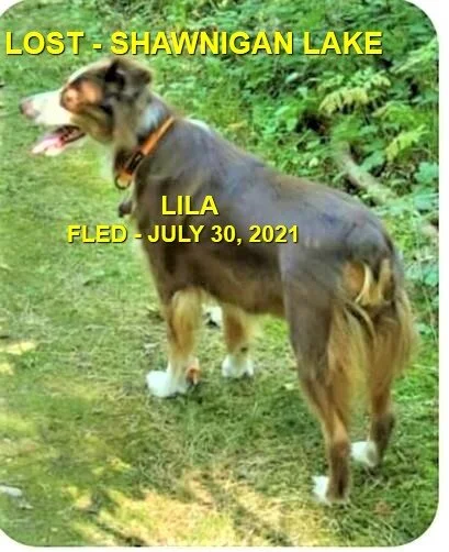 HAPPY ENDINGS - SHAWNIGAN LAKE BC - LILA / JULY 30, 2021  